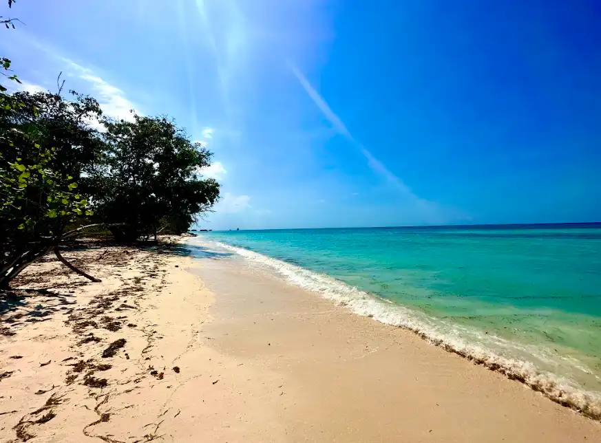 Moko Alor Gallery 16